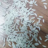 سنگ طارم کشت دوم طلا