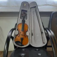 ویولن