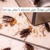 سمپاشی قرچک ورامین خاورشهر و...