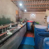 کارگر برای کار در آبکاری|استخدام صنعتی، فنی، مهندسی|اسلام‌شهر, کاشانک|دیوار