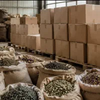 چای و دمنوش عمده مستقیم از تولیدکنند