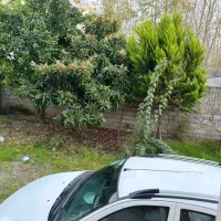 رهن خانه ویلایی آستانه اشرفیه .لاهیجان|اجارهٔ خانه و ویلا|آستانه اشرفیه, |دیوار