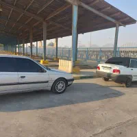 پژو ۴۰۵ دوگانه سوز فابریک|خودرو سواری و وانت|چمران, |دیوار