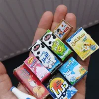 مگنت های مینیاتوری بامزه