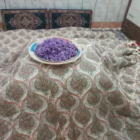 باغ ویلا 600 متری روستای گردشگری کرد علیا