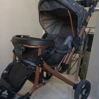 کالسکه بنیتا و کریر