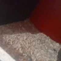 لانه عروس هلندی محکم وبزرگ|لوازم جانبی حیوانات|گرگان, |دیوار