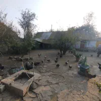 فروش-فوری-زمین-مسکونی