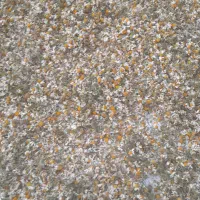 فروش گل بابونه درجه یک