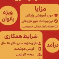 کار در منزل با تلفن همراه|استخدام بازاریابی و فروش|فیروزآباد (فارس), |دیوار