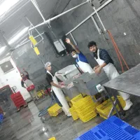 کارگر بسته بندی مرغ