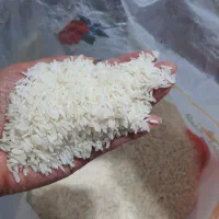 برنج پاکستانی ارزان