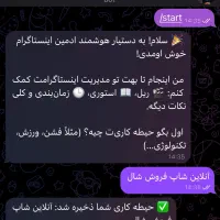 ربات دستیار ادمین اینستاگرام|خدمات رایانه‌ای و موبایل|کرج, گوهردشت|دیوار