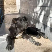 گمشده در شهر طاقانک