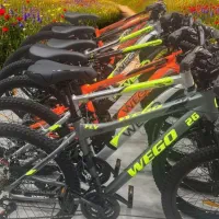 دوچرخه پسرانه 24|دوچرخه، اسکیت، اسکوتر|کرمان, |دیوار