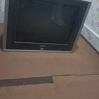 تلویزیون