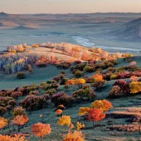 راهنمایی و مشاوره