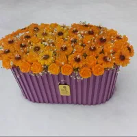 انواع باکس شمع