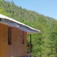 ویلا جنگلی رادوین