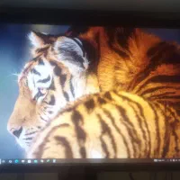 کامپیوتر pc|رایانه رومیزی|بندر ماهشهر, |دیوار