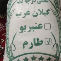 برنج طارم هاشمی درجه یک