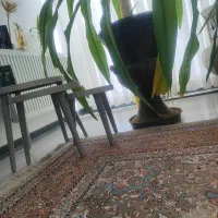 اجاره یک واحد مسکونی در کوار