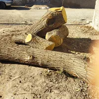 خریدچوب وقطع درخت توت عرعرکاج گردو|خدمات باغبانی و درختکاری|مشهد, رسالت|دیوار