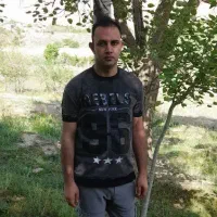 کارت کالاپی