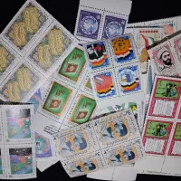 تمر  بلوکی و تکی