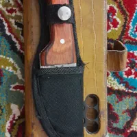 معاوضه فقط باکبوتر