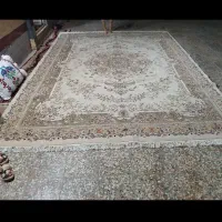 فرش|فرش|بندر گناوه, |دیوار