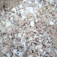 خاک اره پوشال رنده