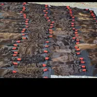 خریداراصلی موهای طبیعی خریدمو