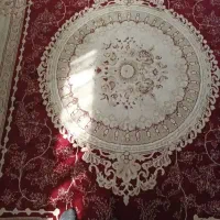 یک عدد قالی|فرش|حبیب آباد, |دیوار