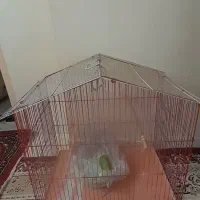 قفس پرنده