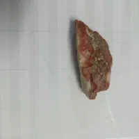 سنگ های زینتی|کلکسیون اشیاء عتیقه|قائمشهر, |دیوار