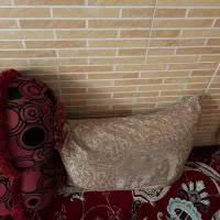 پشتی|پشتی|شیراز, مسلم|دیوار