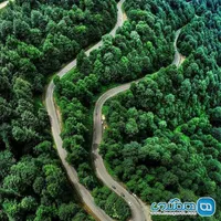 اجاره آپارتمان ۵۵ متری ۲ خوابه طبقه ۱ در تهران سر