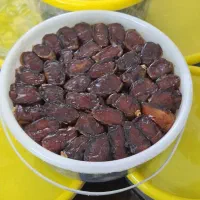 خرما نخل زرین ( به شرط مرجوعی )