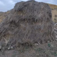 یونجه چین اول ۱۵ خلوار