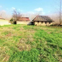 کلنگی ۱۰۰۰متری/سندتک برگ/شکاری