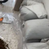 کشمش خراسان رضوی