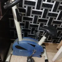 دوچرخه ثابت
