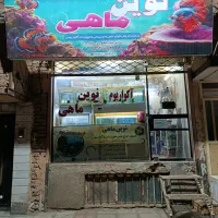 ماهی زینتی|ماهی|سبزوار, پیام|دیوار