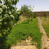 زمین۲۴۰متری/مناسب سرمایه گذاری و ساخت