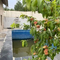 ویلا باغ 600متری با بنای 60متری با درختان مثمر|فروش خانه و ویلا|دماوند, دماوند|دیوار