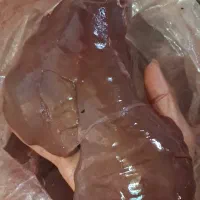 جگر بره کشتار روز|خوردنی و آشامیدنی|قم, آزادگان|دیوار