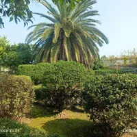 ۱۰۸۰ متر زمین مسکونی پلاک ۱ دریا مشارکت در ساخت
