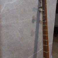 سه تار در حد نو|سازهای سنتی|آمل, |دیوار
