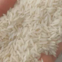 برنج ندا گرگان به شرط فوری زیر قیمت